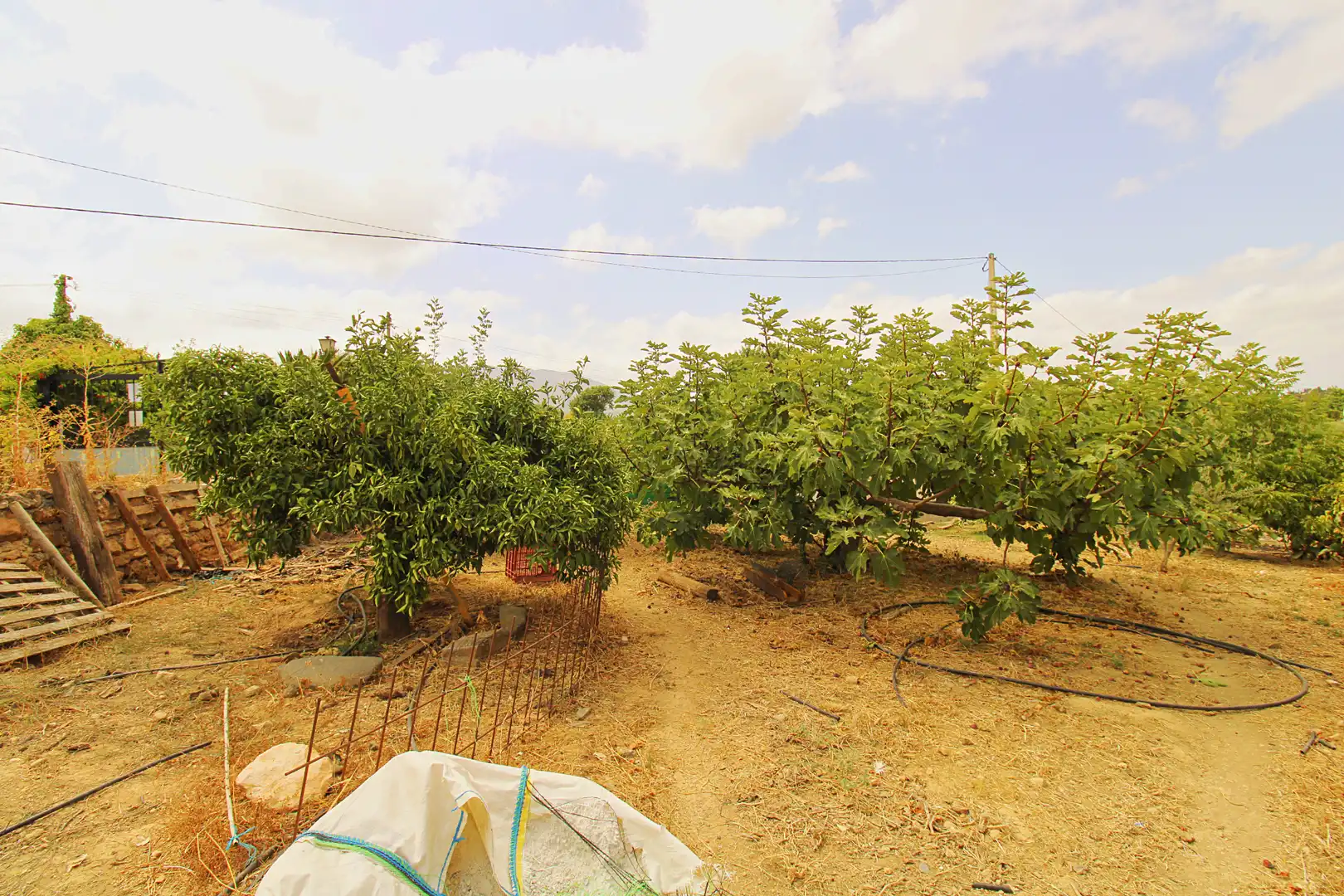 Maison rustique à vendre à Alquería - Torrealquería, imagen 10