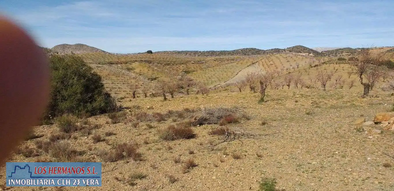 Finca rústica en venta en Vélez-Rubio