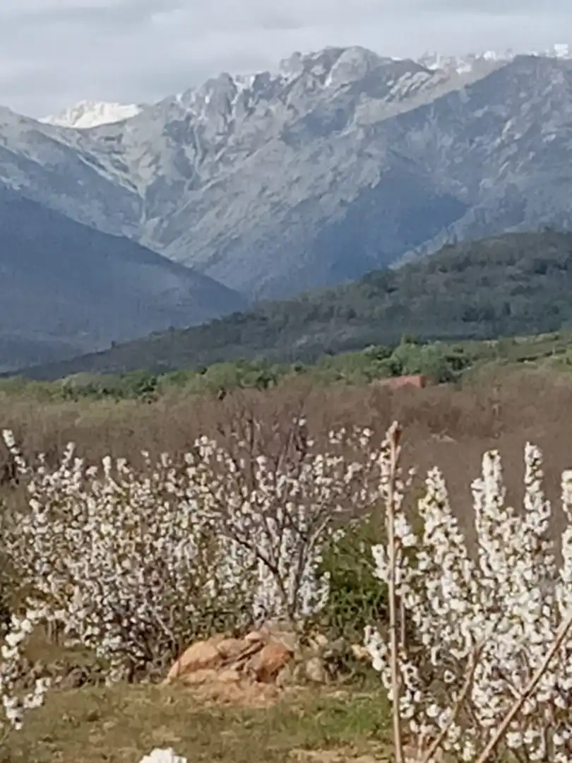 Terreni e lotti in vendita a La Cañada - Aldea Moret, imagen 4