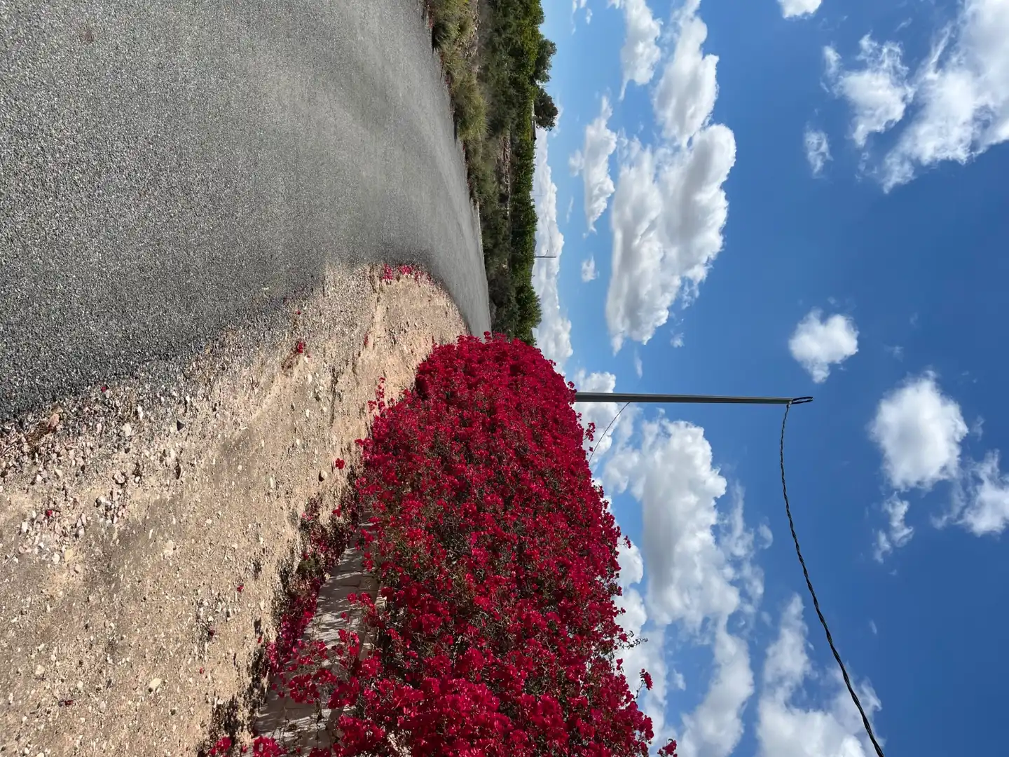 Vista exterior de Casa o xalet en venda en Albatera amb Aire condicionat, Calefacció i Jardí privat
