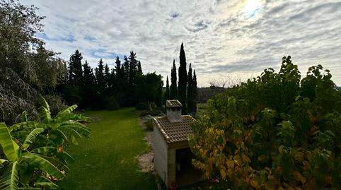 Foto 3 de Finca rústica en venda a Daya Nueva, Alicante