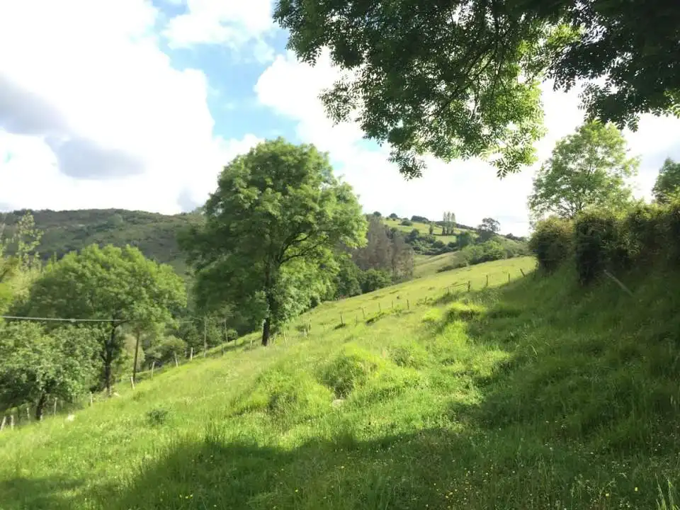 Rustikales Grundstück zum Verkauf in San Claudio - Trubia - Las Caldas, imagen 4