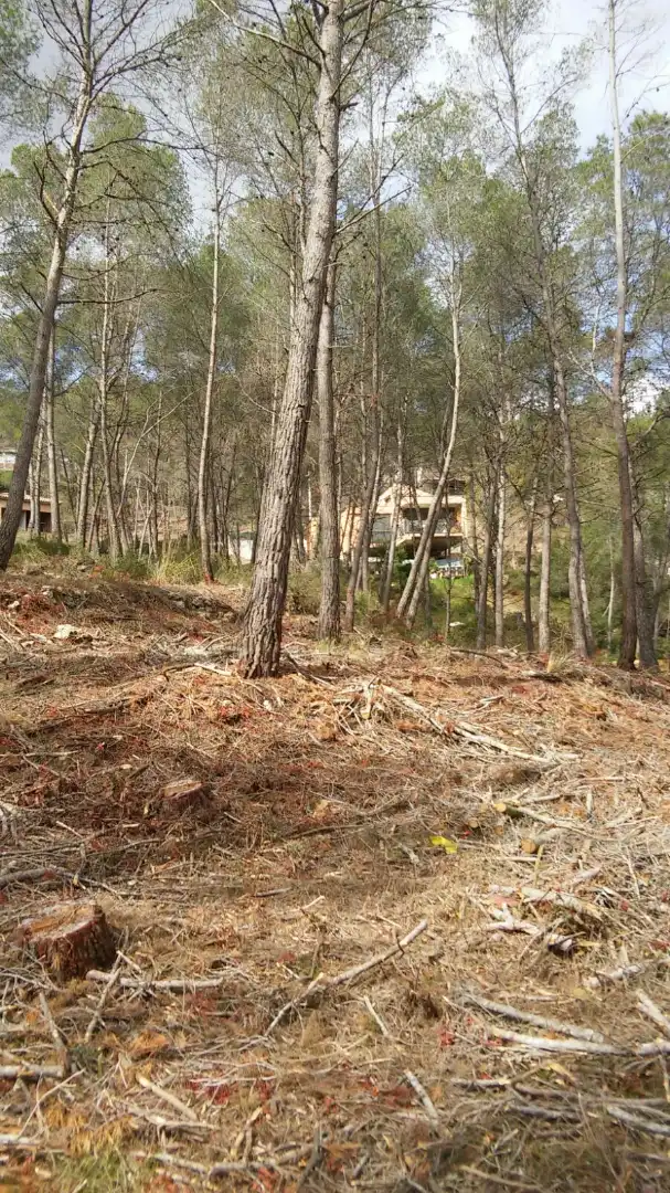 Terreno residencial en venta en Carrer de L'Estṛella 6, imagen 11