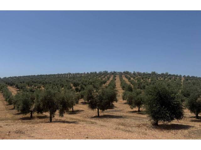 Terreno en Venta en Alhama de Granada