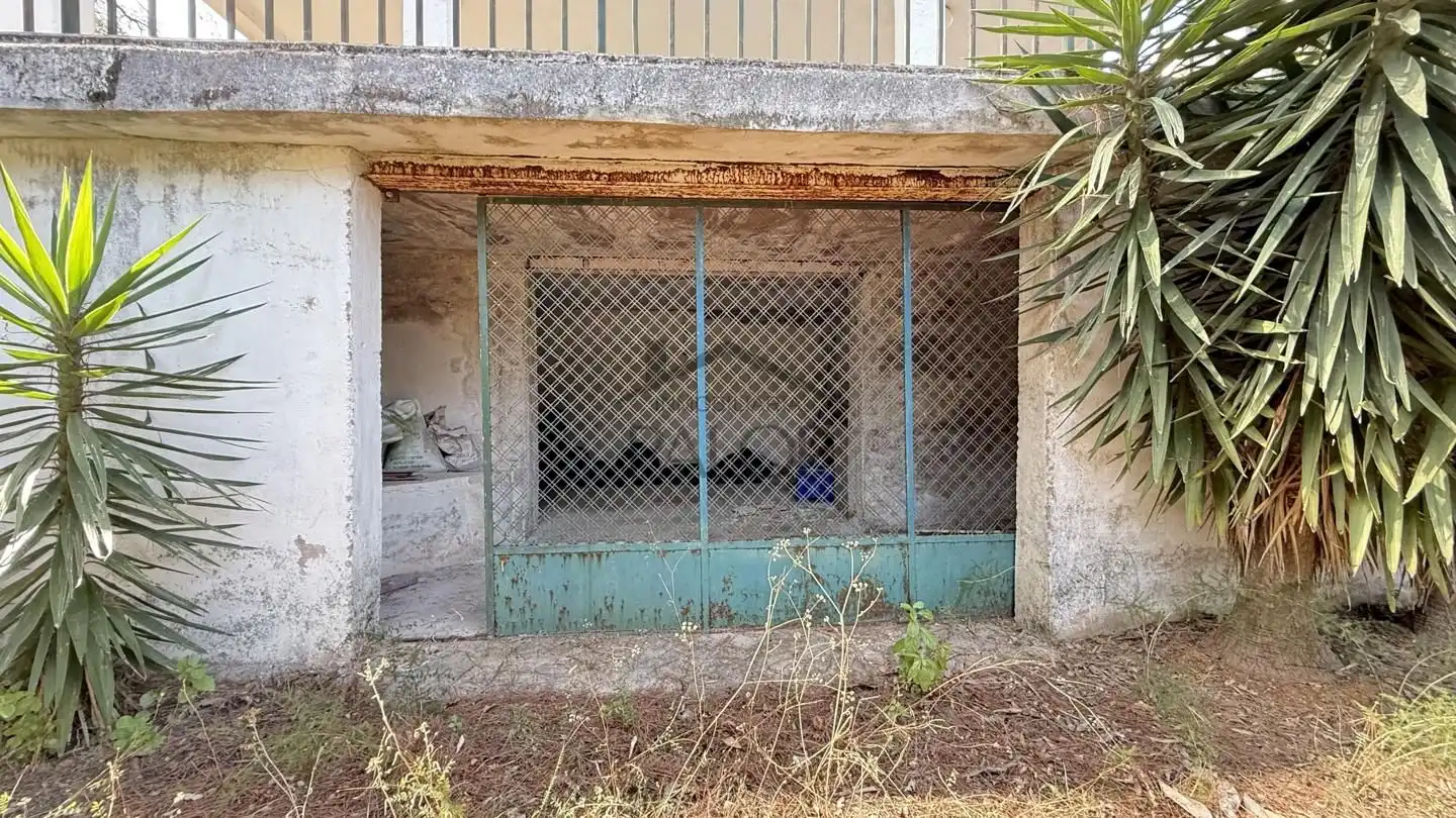 Vista exterior de Casa o xalet en venda en Alzira amb Jardí privat, Terrassa i Traster
