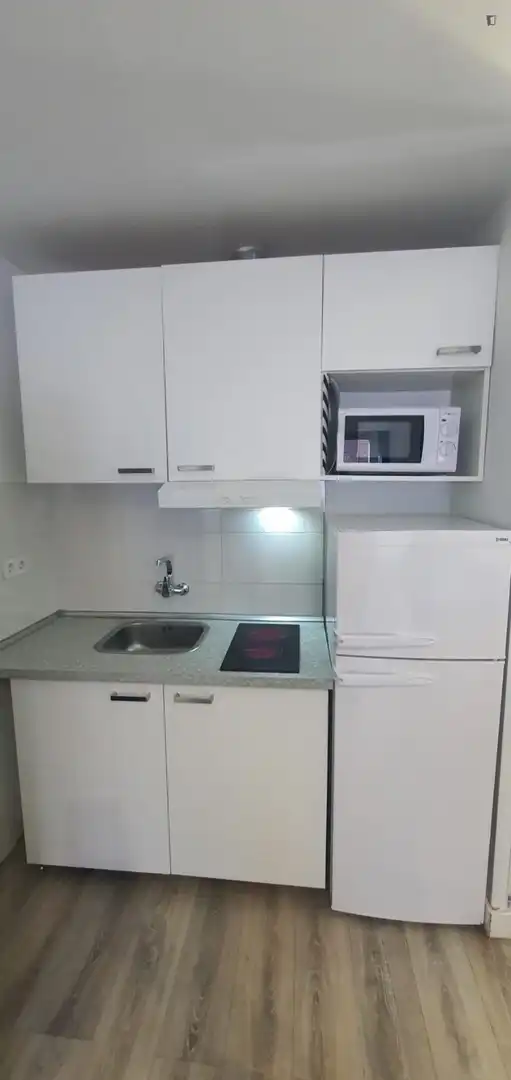 Estudio en alquiler en Chamberí, imagen 8