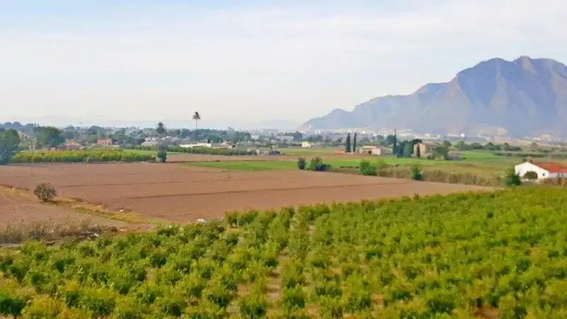 Landhaus zum Verkauf in Callosa de Segura, imagen 41