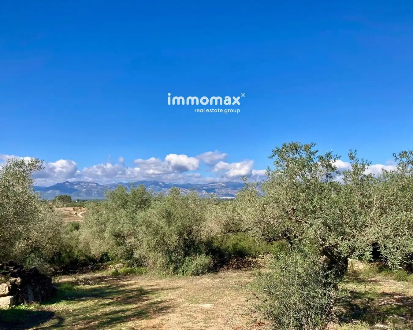 Rural land for sale in Godall, imagen 18