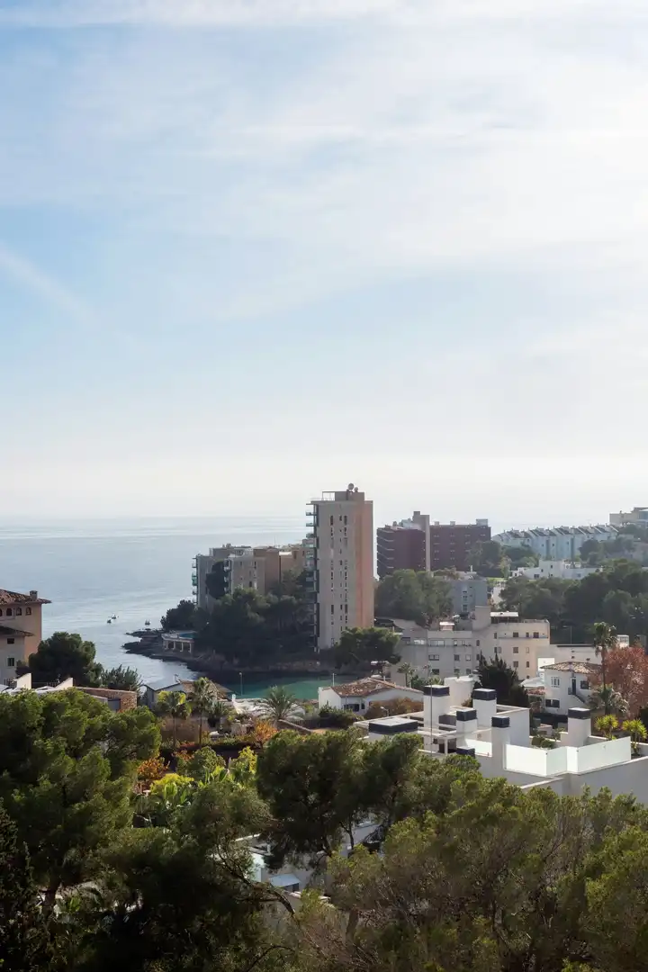 Mini appartamento con terrazza in vendita a Cas Català - Illetes, imagen 25