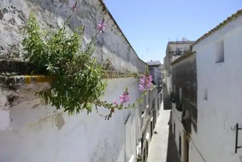 Casa en venda a Arcos de la Frontera, imagen 25