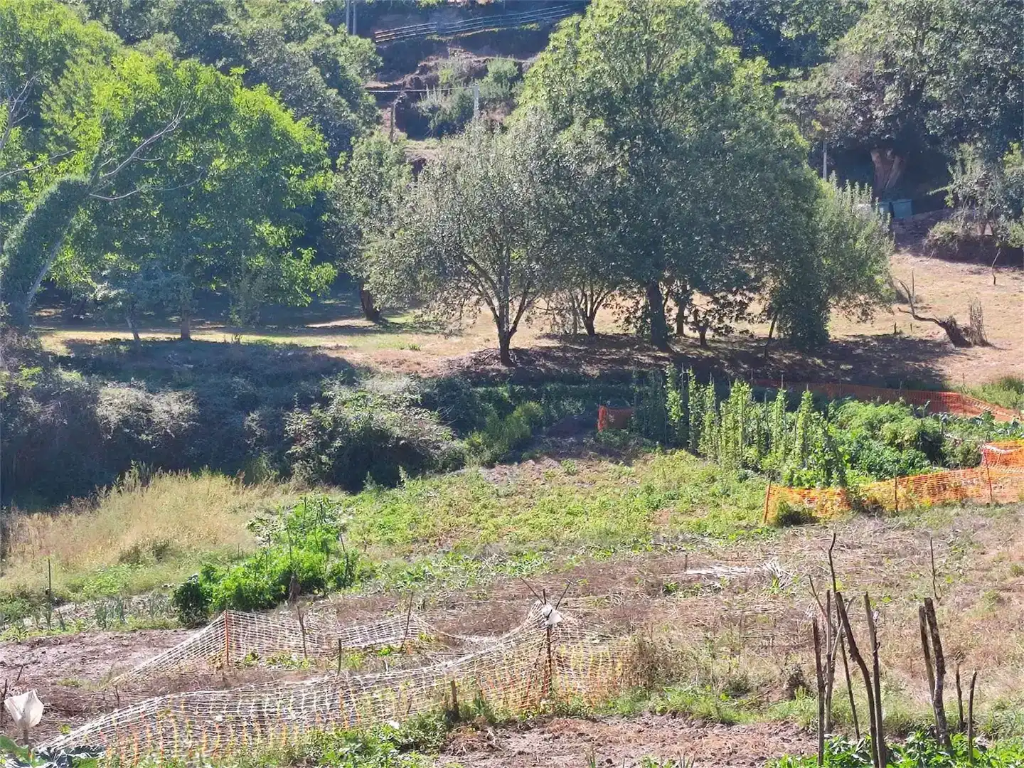 Finca rústica en venda en Oencia amb Balcó