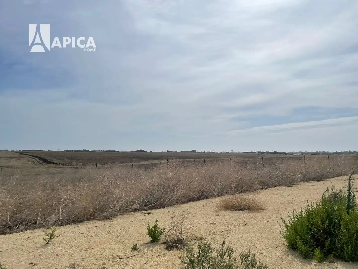 Terrain rustique à vendre à Vejer, imagen 7