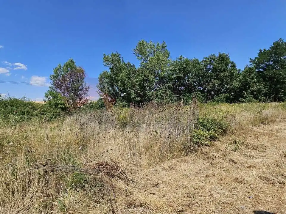 Casa o chalet en venta en Cañas con Jardín privado