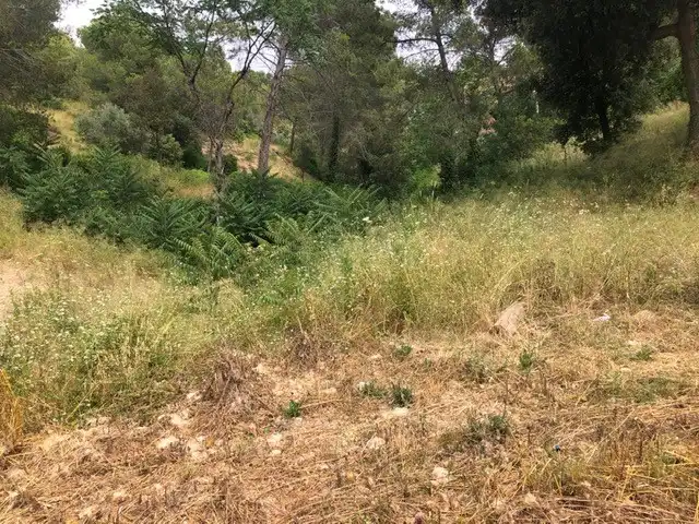 Terreno residenziale in vendita a Sud, imagen 23