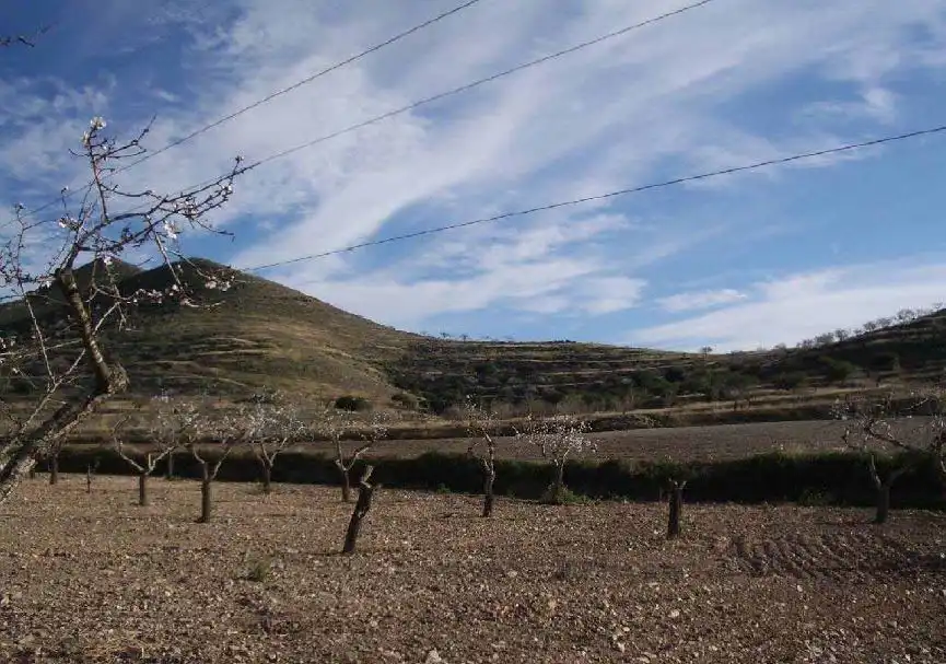 Rustikales Grundstück zum Verkauf in PARAJE LOS PUERTOS Nº 119, imagen 3