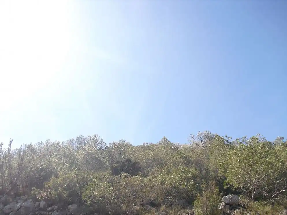 Rural land for sale in C/ Isla Mancolibre, imagen 6