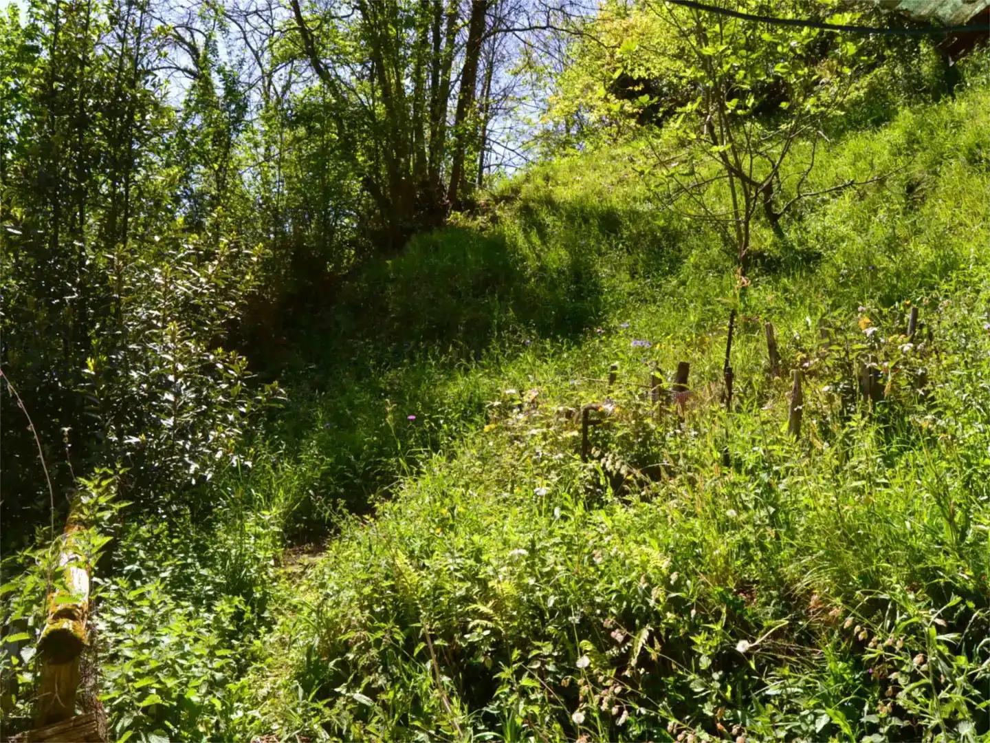 Finca rústica en venda en Laviana