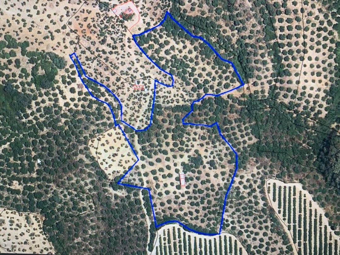 Land for sale in Lora del Río