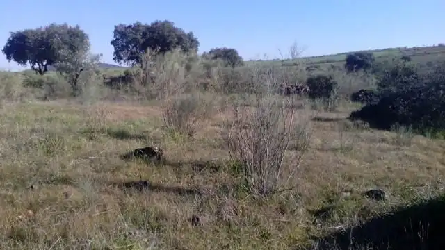 Residencial en venda en Valsequillo