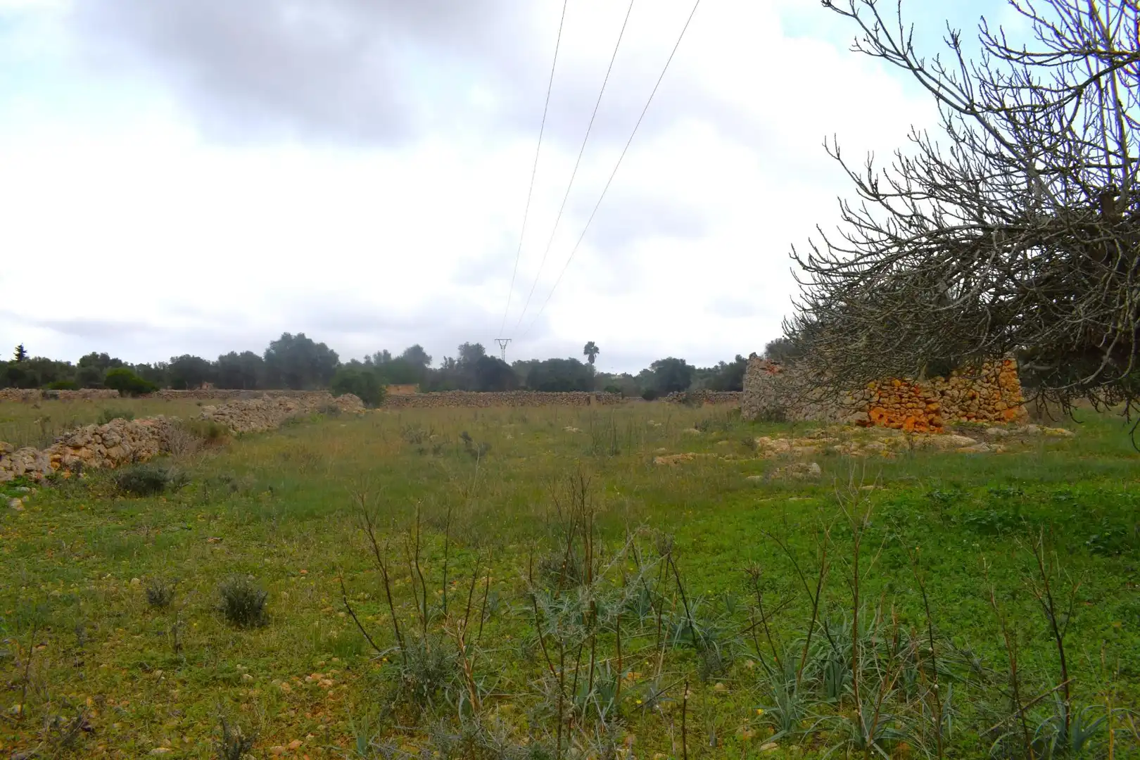 Wohnbaugrundstück zum Verkauf in Santa Margalida Poble, imagen 6