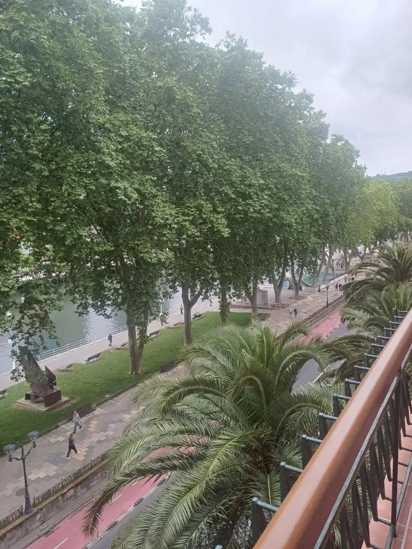 Wohnung mit Terrasse zum Verkauf in Campo de Volantín Pasealekua, imagen 35