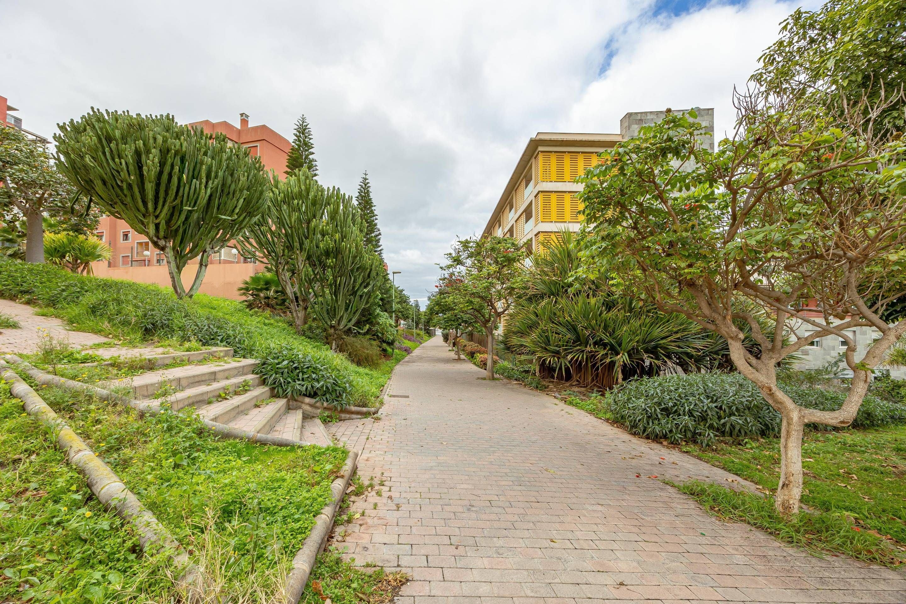 Exterior view of Flat for sale in Las Palmas de Gran Canaria