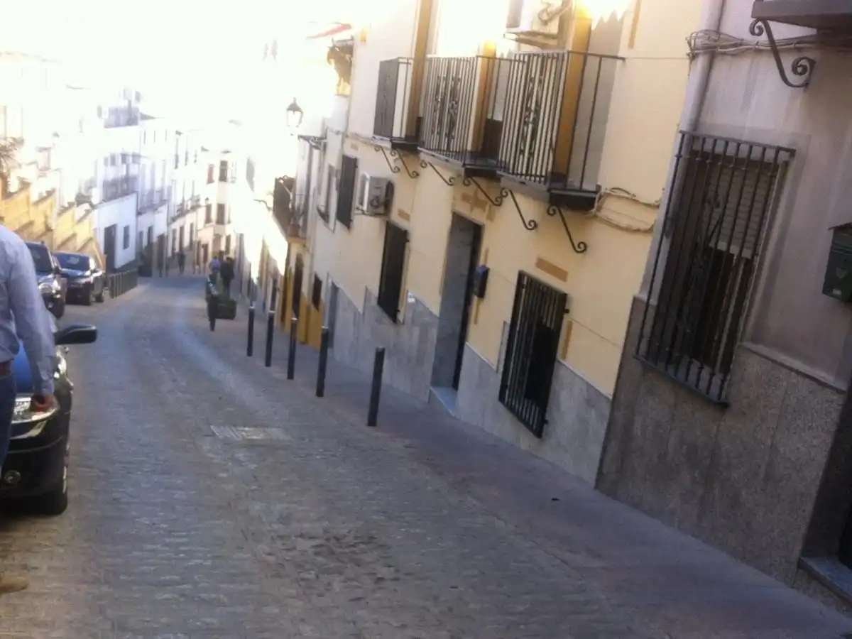 Wohnung zum Verkauf in Calle Real de San Fernando, imagen 4