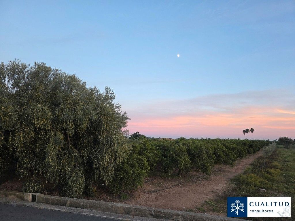 Land for sale in Vila-real