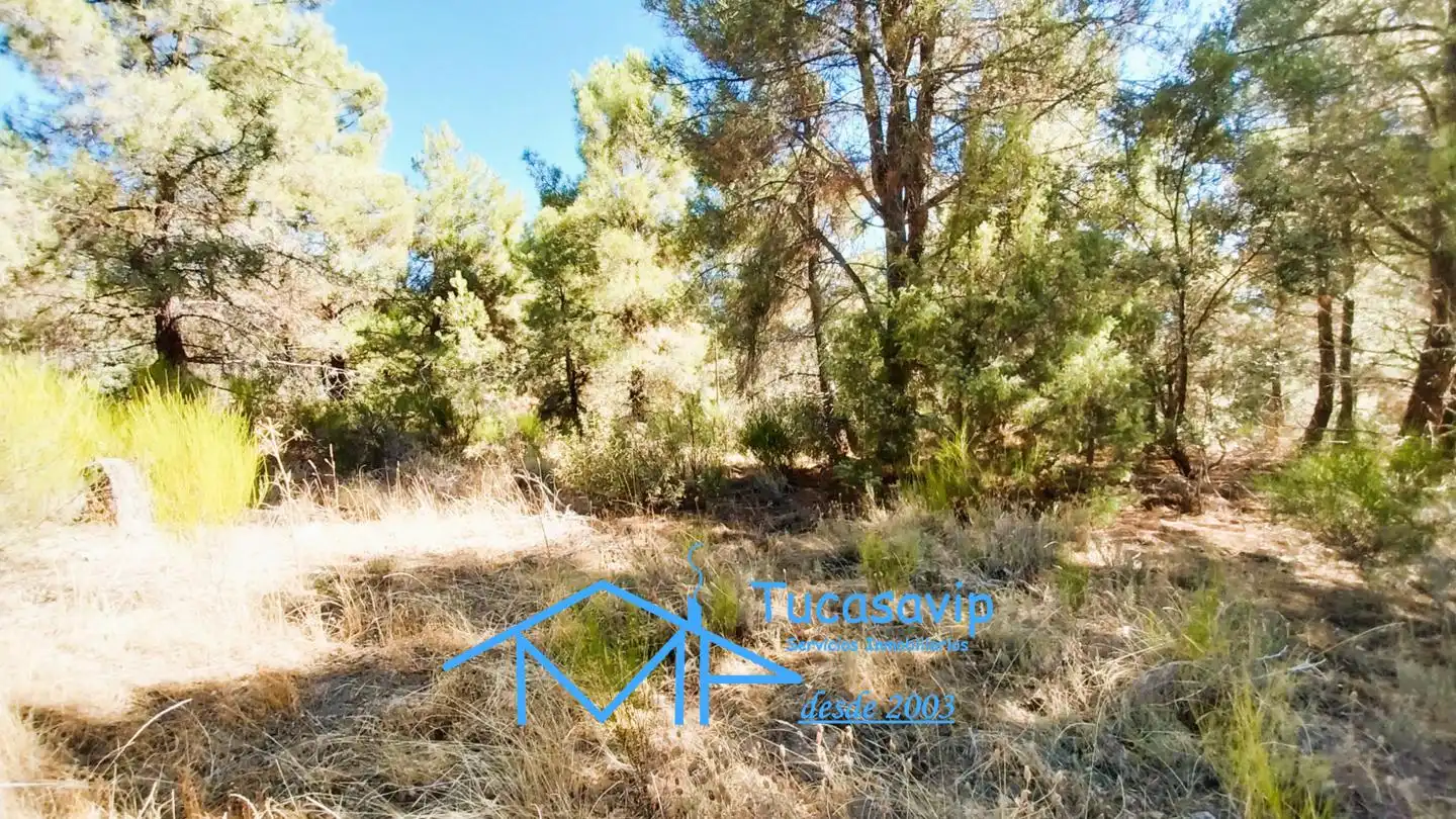 Terreno en venta en Cadalso de los Vidrios