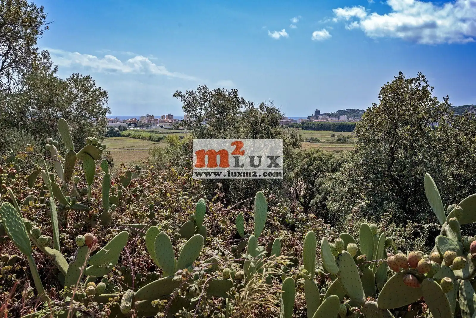 Terreny residencial en venda a Carrer de l'Escarlet, imagen 8