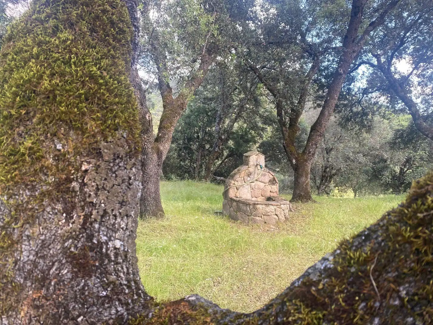 Jardín de Finca rústica en venta en El Real de San Vicente con Aire acondicionado, Calefacción y Terraza