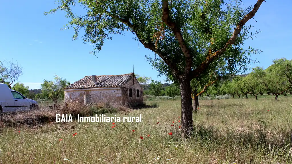 Country homes for sale in Fabara