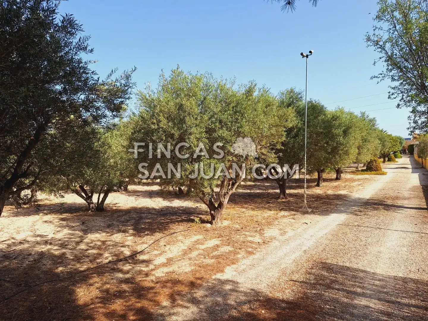 Casa o xalet en venda en Alicante / Alacant amb Terrassa i Piscina