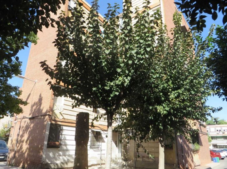 Exterior view of Flat for sale in  Murcia Capital