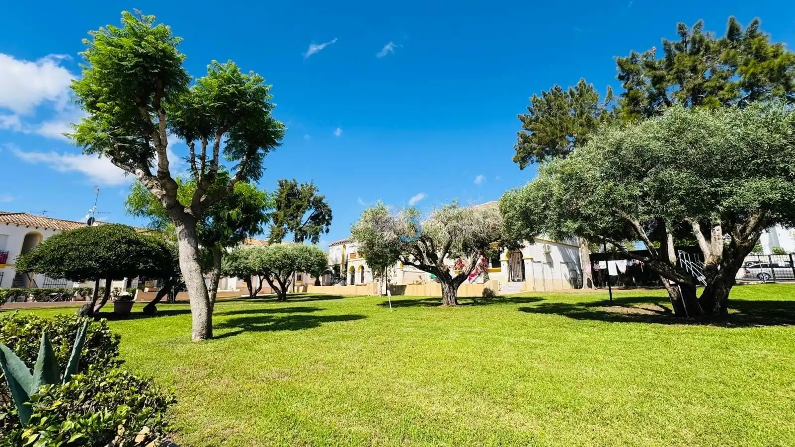 Flat with pool for sale in San Miguel de Salinas, imagen 13