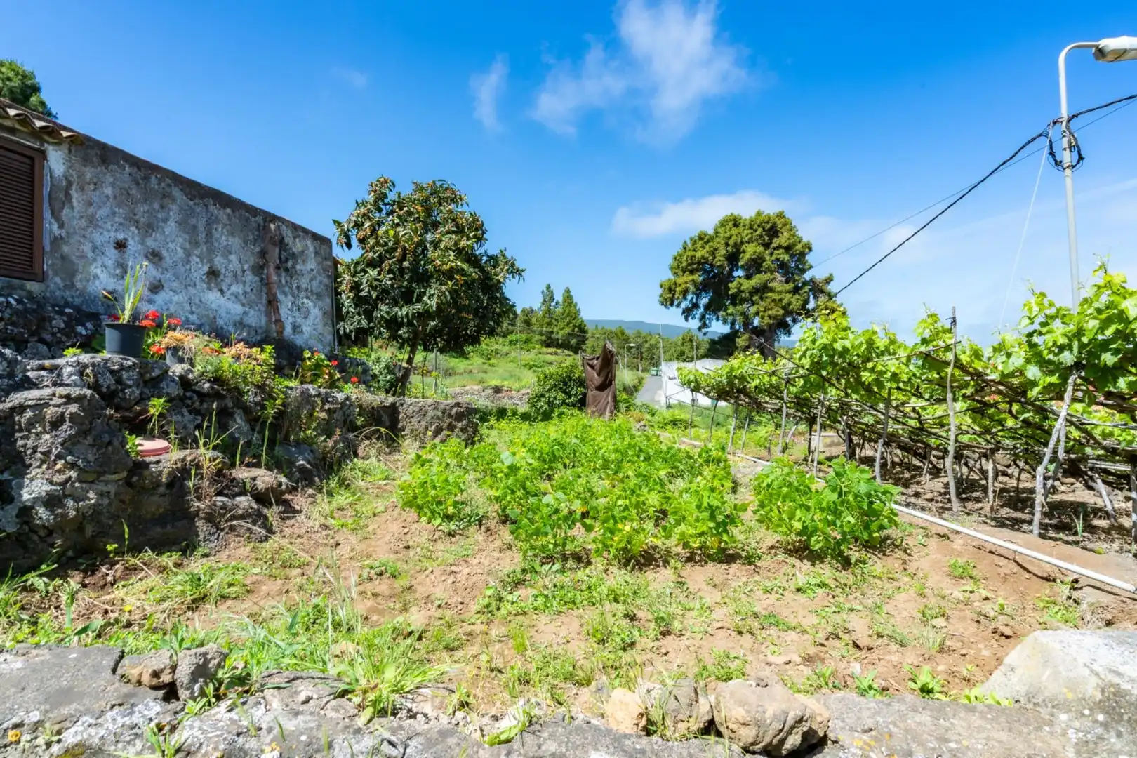 Casa rústica en venta en Icod de los Vinos pueblo, imagen 16