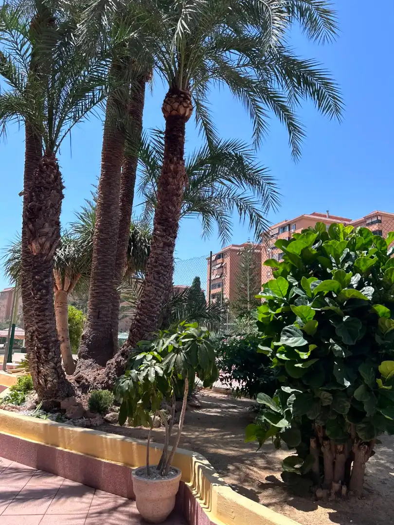 Vista exterior de Pis en venda en Alicante / Alacant amb Aire condicionat, Moblat i Forn