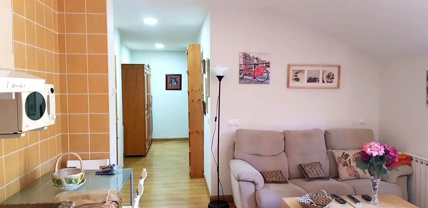 Sala d'estar de Pis en venda en Aller amb Calefacció, Parquet i Terrassa