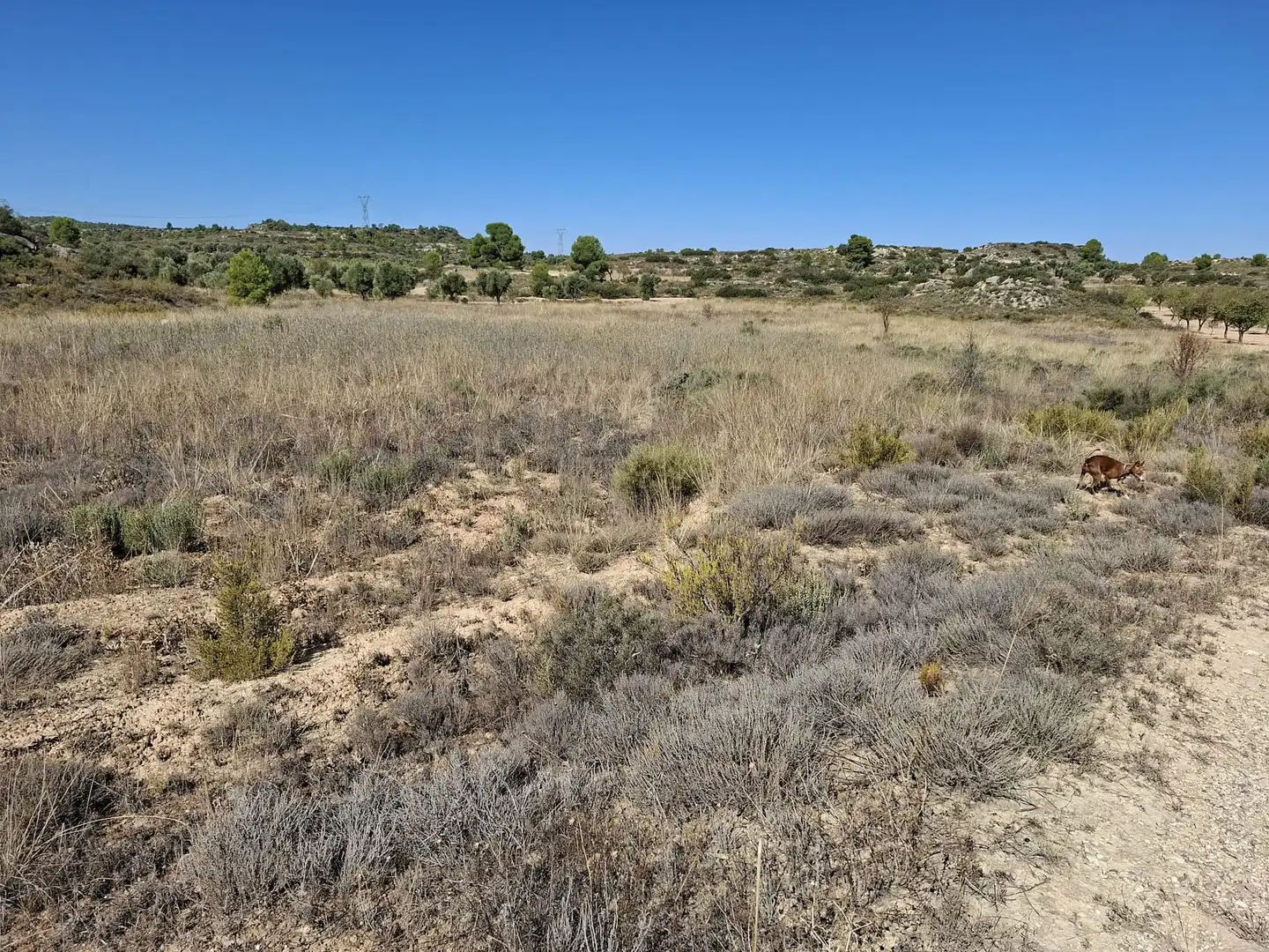 Terreno rustico in vendita a N/A, imagen 4