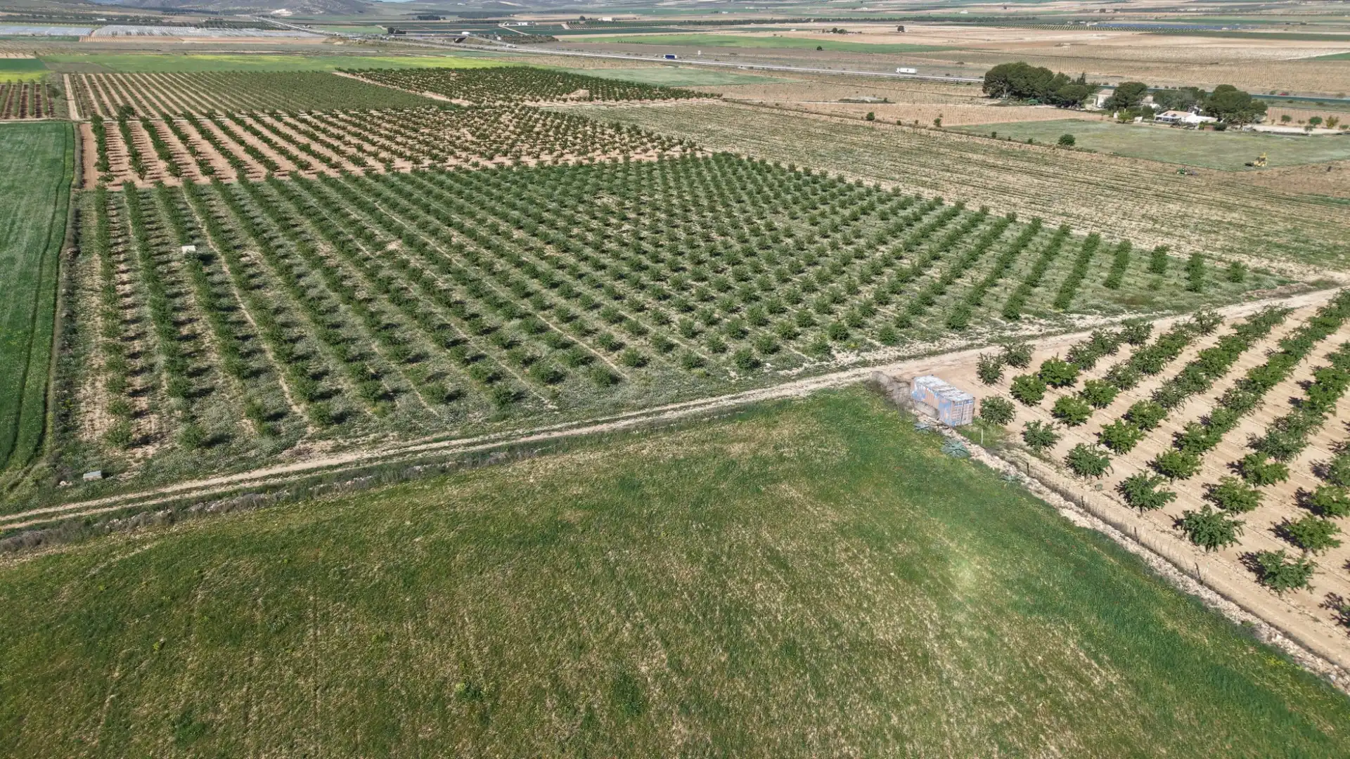 Residential land for sale in Yecla, imagen 4