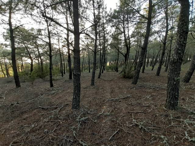 Terreno en Venta en Moreruela de Tábara