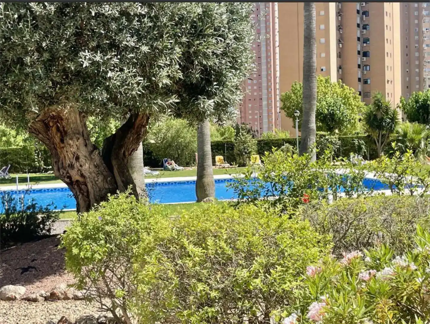 Piscina de Pis de lloguer en Benidorm amb Aire condicionat, Piscina i Moblat