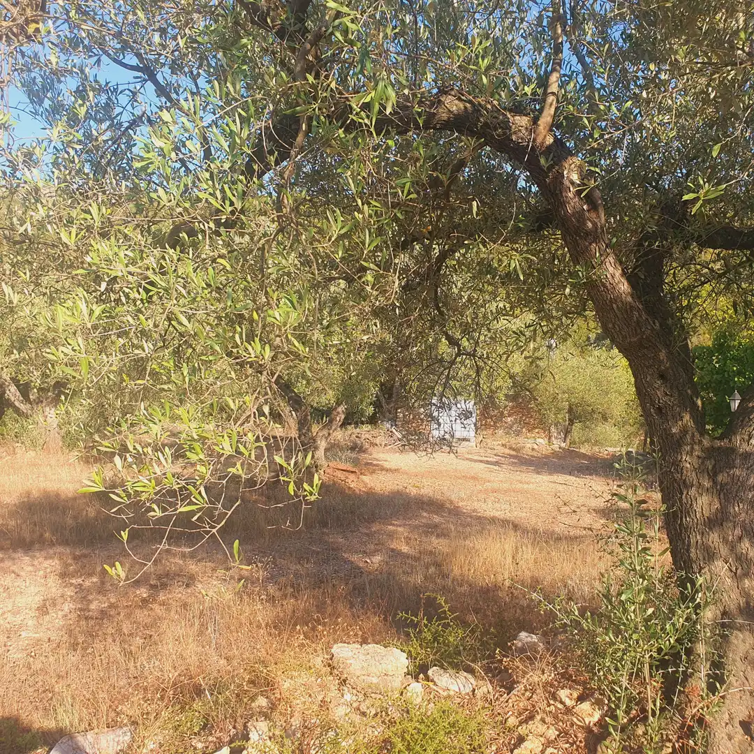 Terrain rustique à vendre à Rasquera, imagen 26