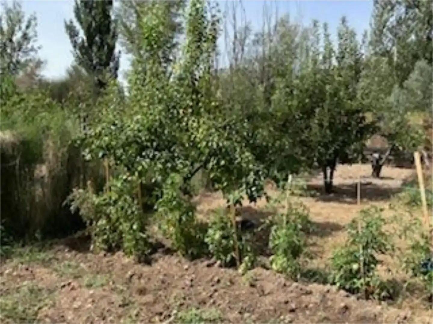 Casa o xalet en venda en Valdepeñas de Jaén amb Piscina