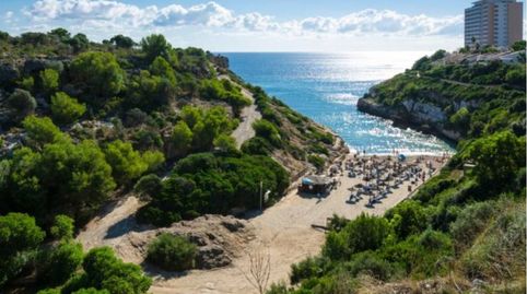 Bonito solar edificable en la mejor zona de Calas de Mallorca., imatge 4