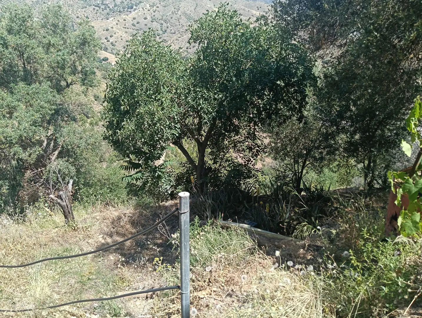 Terreni e lotti in vendita a Carretera de Casabermeja, imagen 21