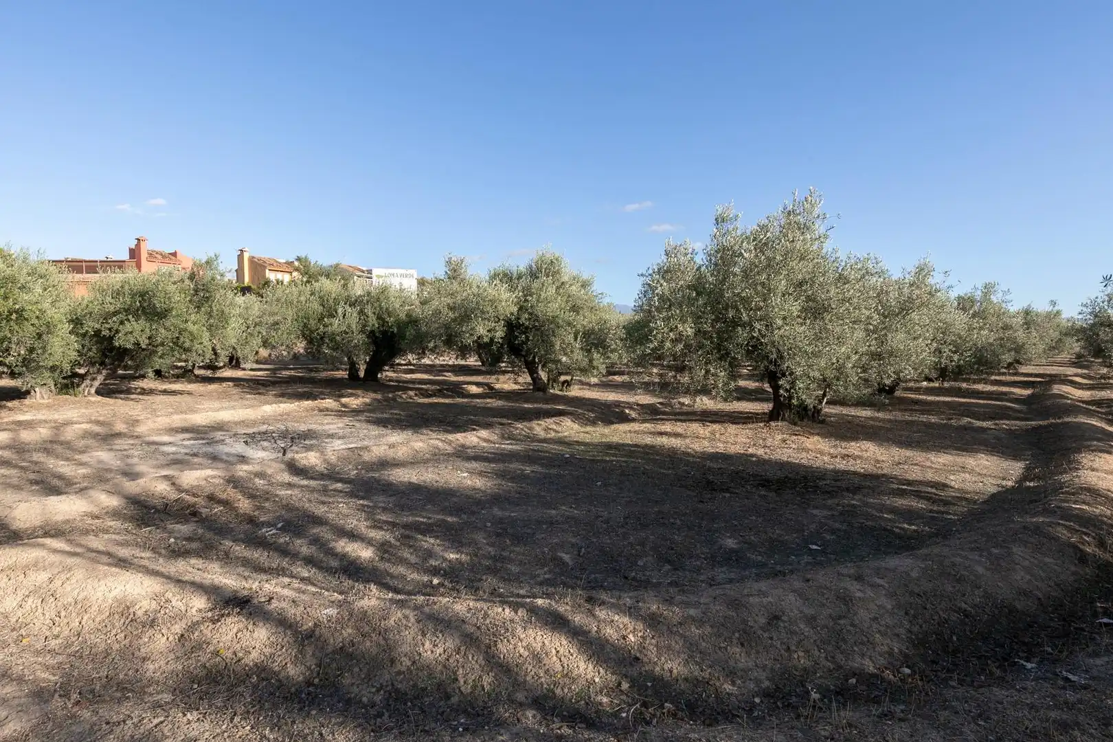 Terreno residencial en venta en Calle LOS JUNCOS, imagen 25