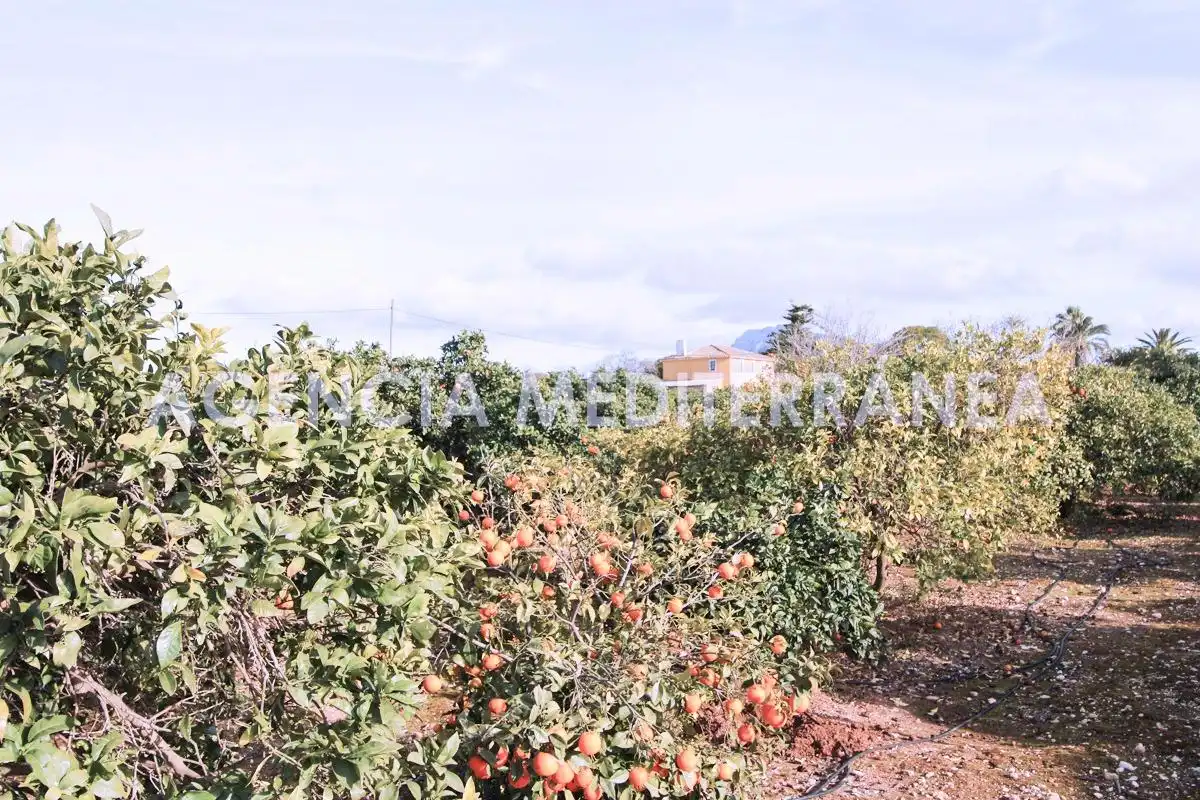 Chalet con jardín en venta en Ondara, imagen 3