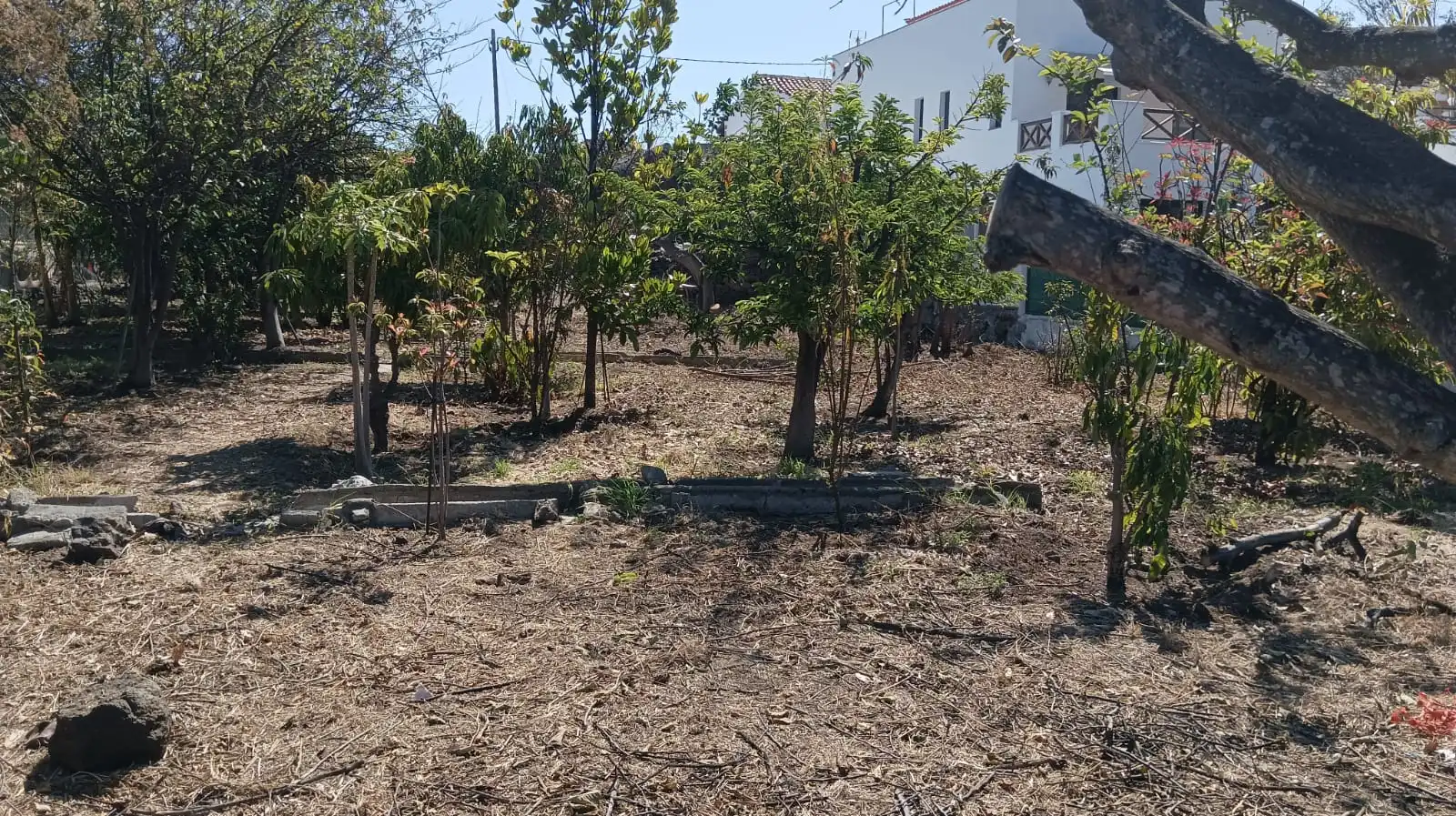 Rural land for sale in San Felipe - San Marcos - Las Cañas, imagen 23