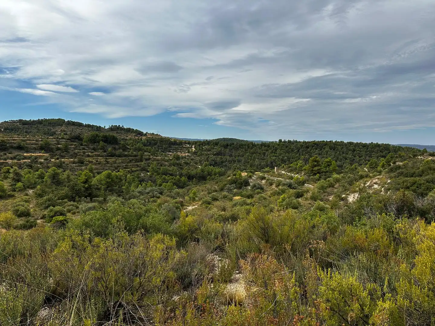Terreny rústic en venda a Cervià de Les Garrigues, imagen 8